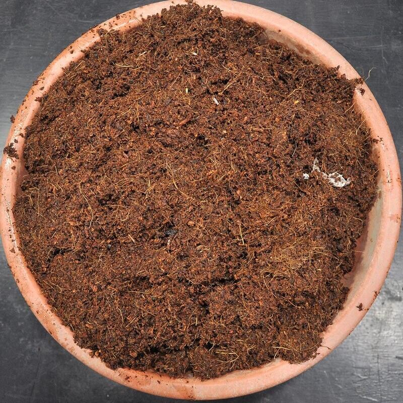 Premium 100% Cocopeat (3/4")  with Fibre High n Expansion