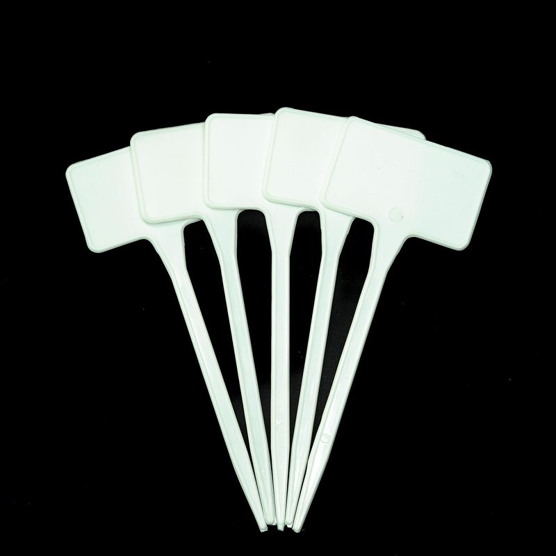Tags T Labels - Set of 50