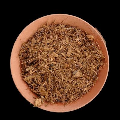 Coco Chips Small with Fibre 7C(2-12) Coco Chips Small with Fibre 7C(2-12)