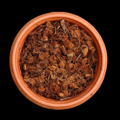 Coco Chips with Crush 10C (2-16) Coco Chips with Crush 10C (2-16)