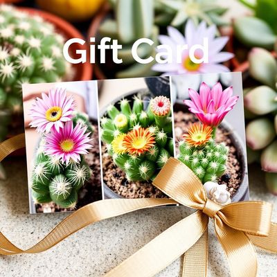 Plant Gift Vouchers