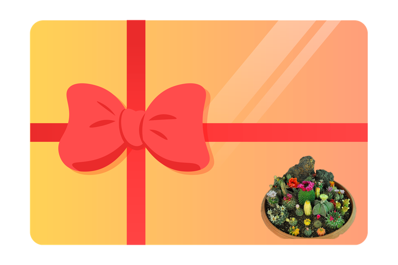 Rooted in Joy Gift Card