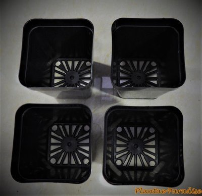 SQ60 POTS (SET OF 40 POTS)
