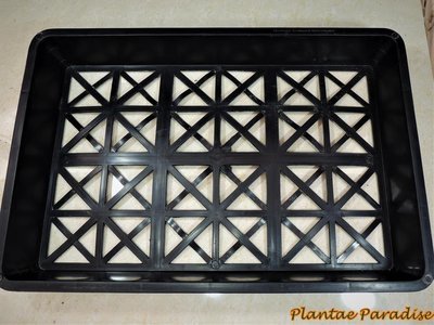 MULTIPURPOSE GARDEN TRAYS (SET OF 6)