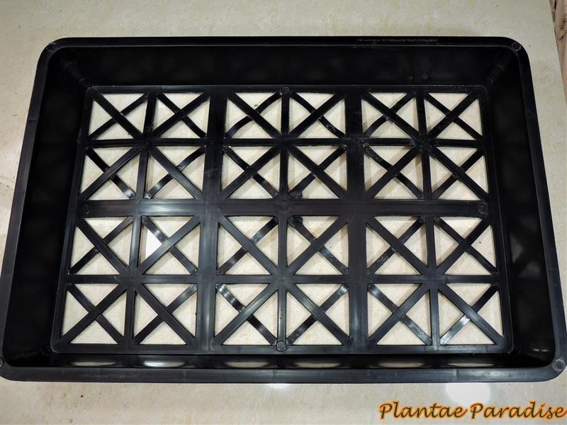 MULTIPURPOSE GARDEN TRAYS (SET OF 6)