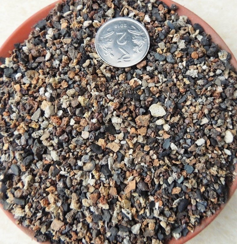 Cactus & Succulent Planting Mix FINE (aka Cactus Soil Mix or Succulent Soil Mix)