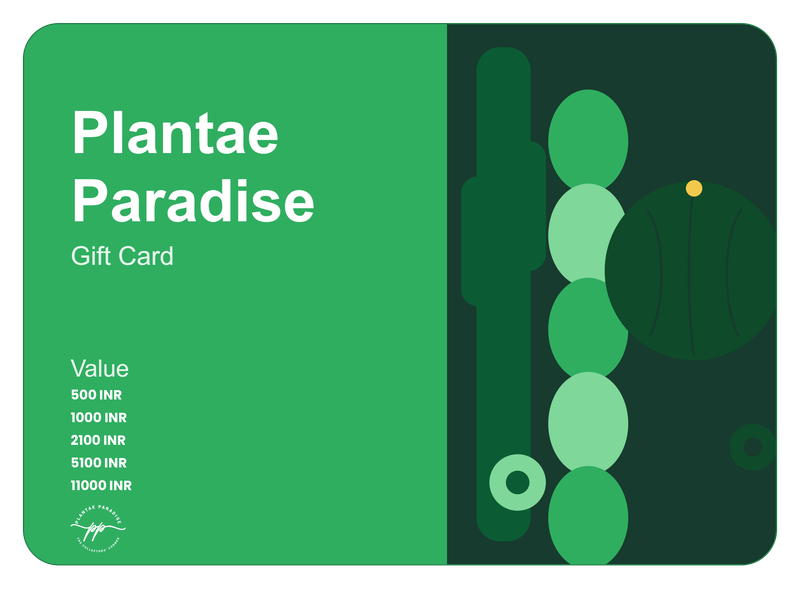 Plant Gift Card