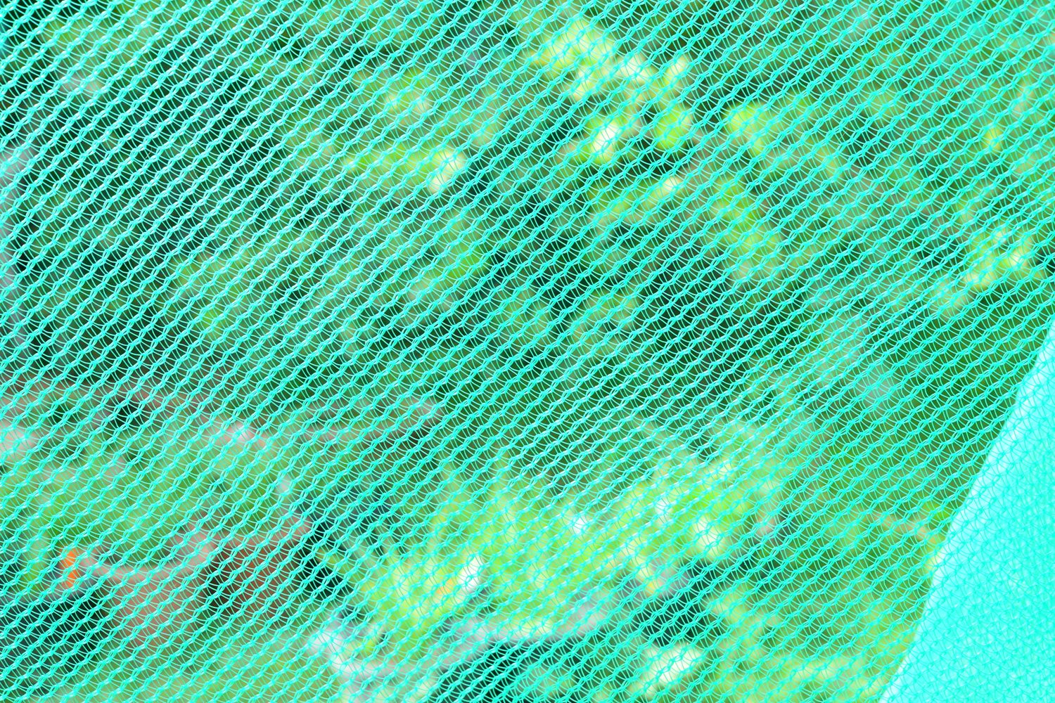 SHADE NET GREEN NYLON MONOFILAMENT 35 % SHADE NET GREEN NYLON MONOFILAMENT 35 %