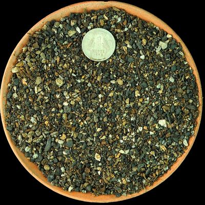 FORTIFIED Cactus & Succulent SOIL (FINE) FORTIFIED Cactus & Succulent SOIL (FINE)