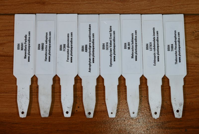 The Bishop's Assembly — A Collector's Starter Set individual labeled plant markers