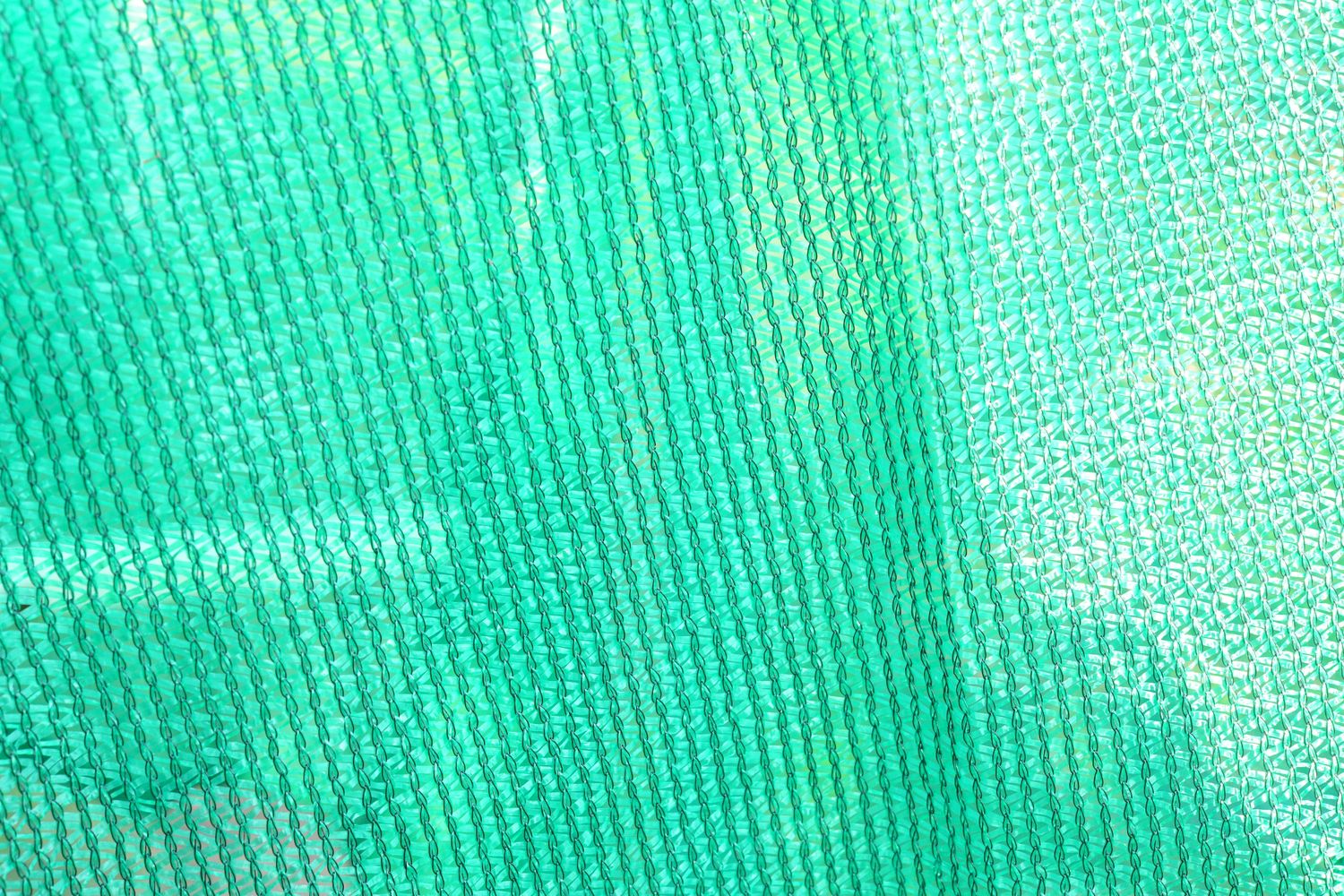 Green-Black Tape plus Monofilament Shade Net - 60% Shade Green-Black Tape plus Monofilament Shade Net - 60% Shade