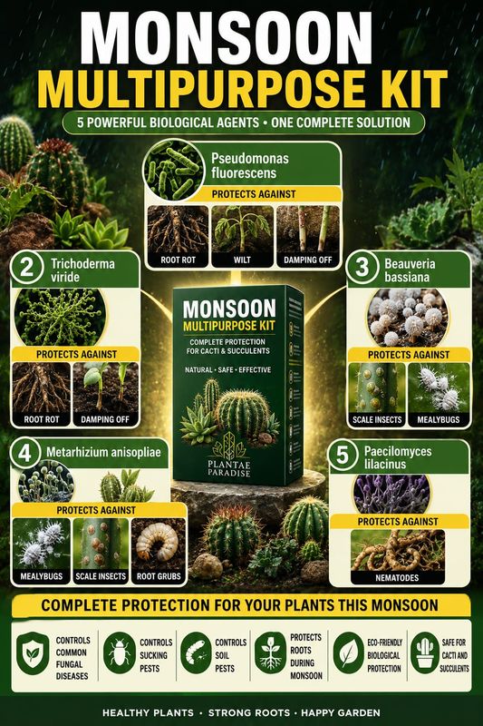 Monsoon Guardian Kit (5 in 1)