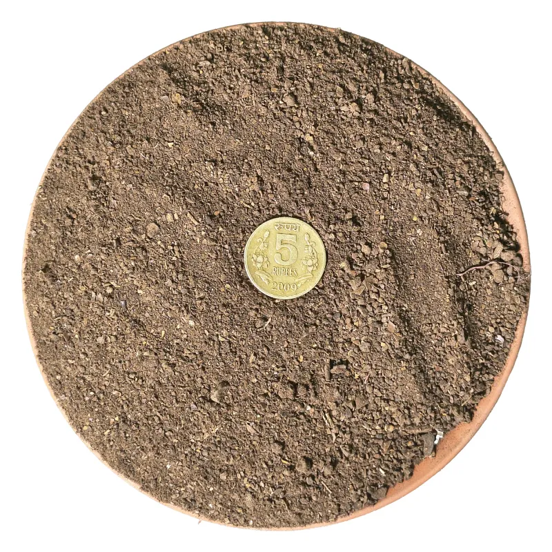 Neem Cake  / Neem Khali Organic Manure