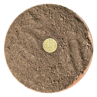 Neem Cake  / Neem Khali Organic Manure