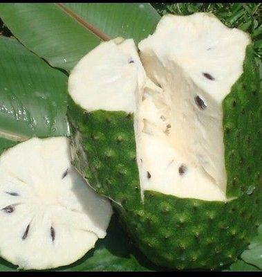 Fresh Guanabana (Soursop, Graviola) Fruit, n. 1 kg