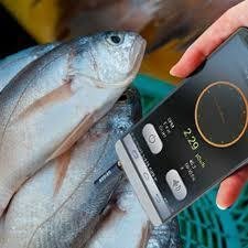 Free App - The Best Geiger Counter For Smartphones FSG-001