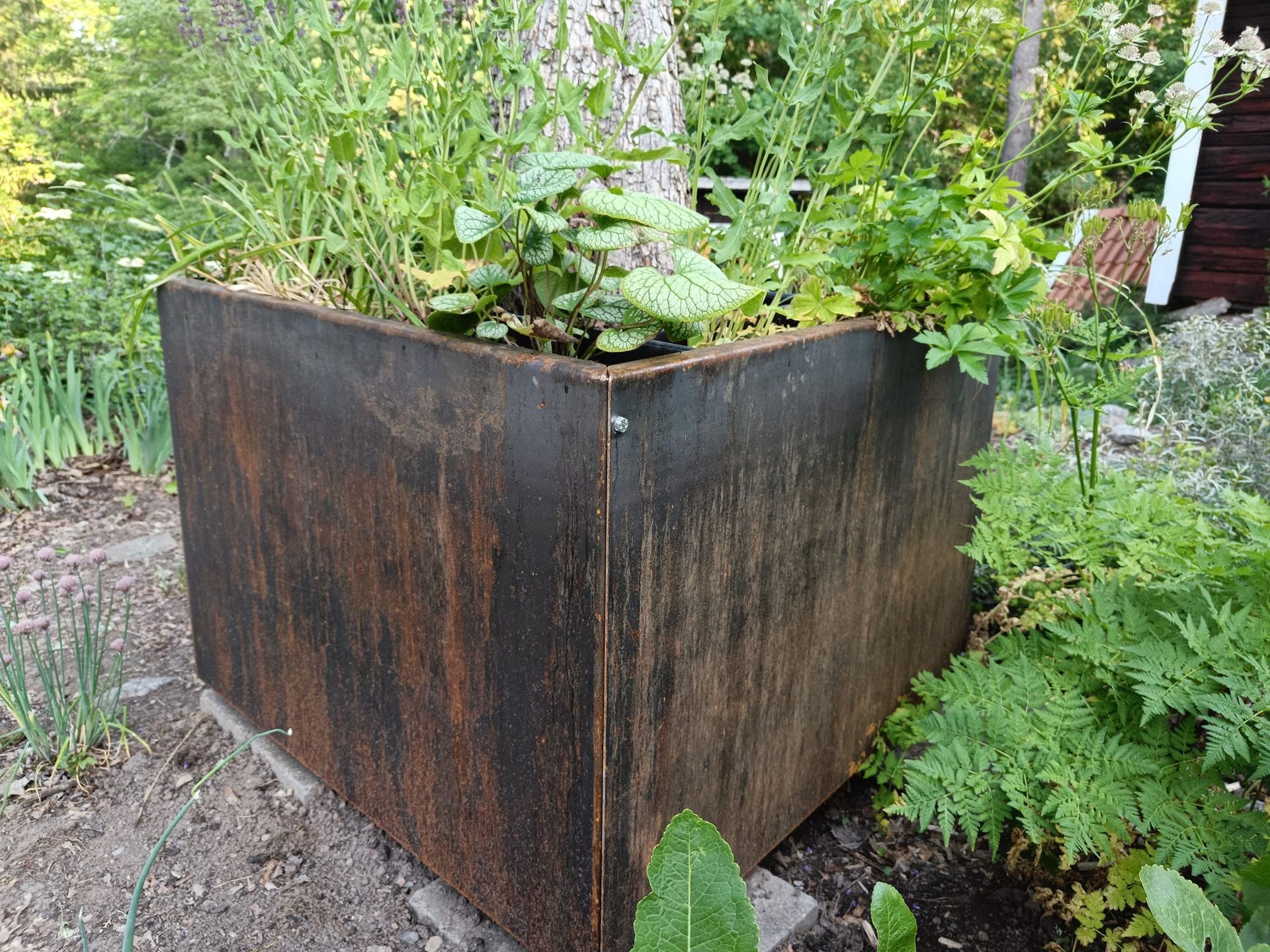 WonderPlanter - raka sidor