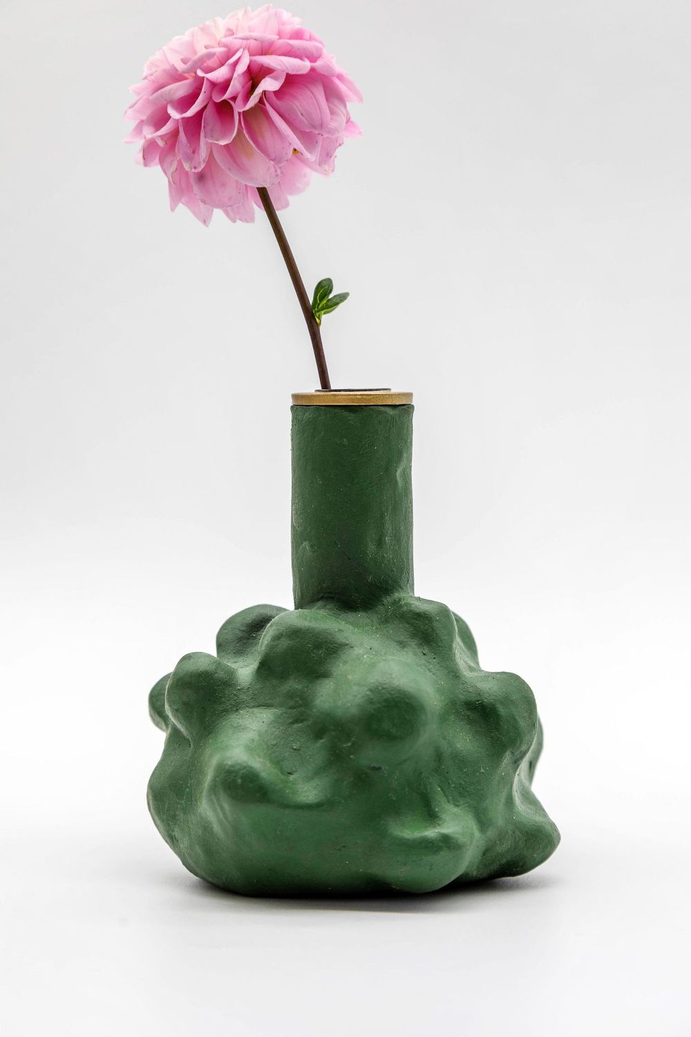 Covida - dark green