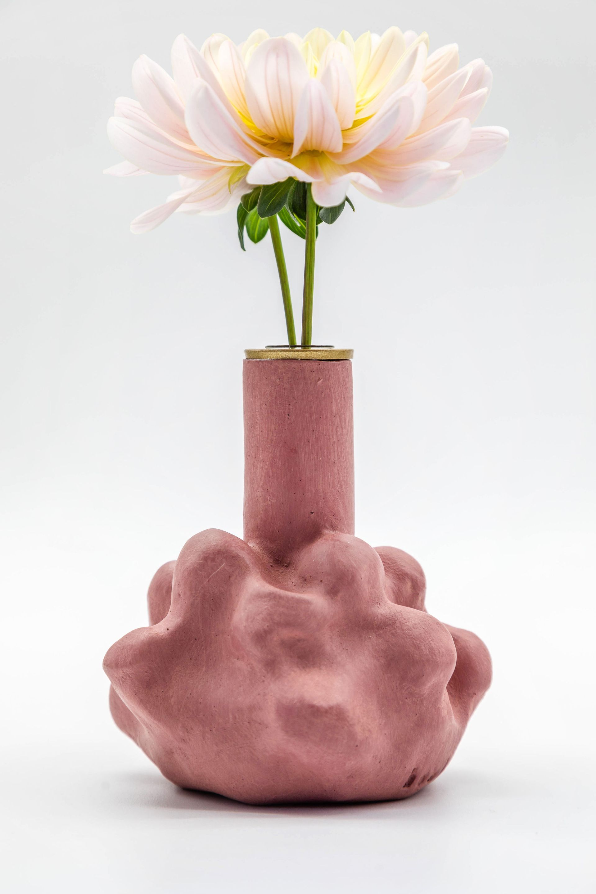Covida - blush pink