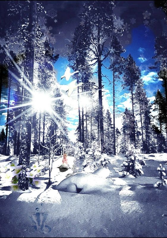 Angelus Nivis/SnöÄngel