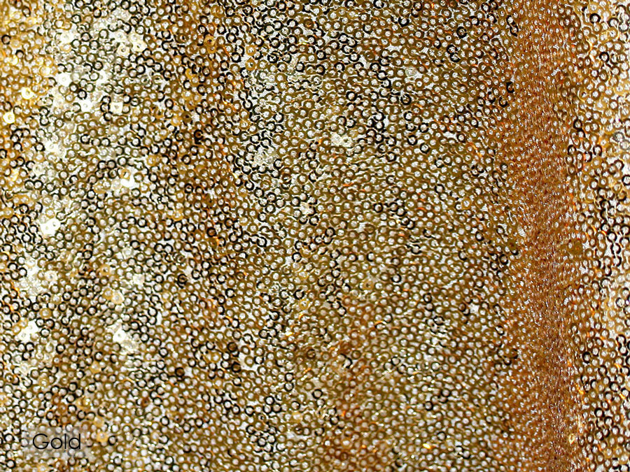 Gold Sequin Tablecloth Rentals Gold Sequin Tablecloth Rentals