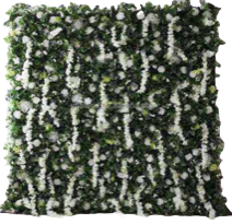 Flower Wall Rental