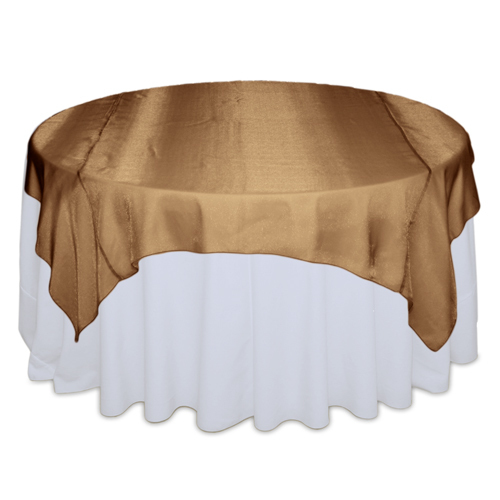 Cinnamon Sheer Overlay Rental Cinnamon Sheer Overlay Rental