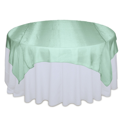 Mint Green Sheer Overlay Rental