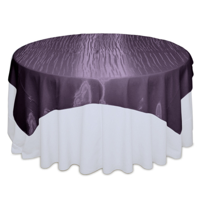 Plum Mirror Overlay Rental
