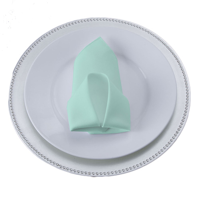 Mint Polyester Napkin Rental