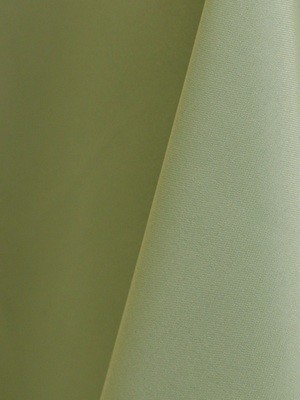 Celadon Polyester Napkin Rental