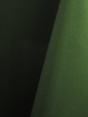 Moss Polyester Napkin Rental