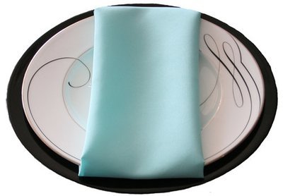 Aqua Polyester Napkin Rental