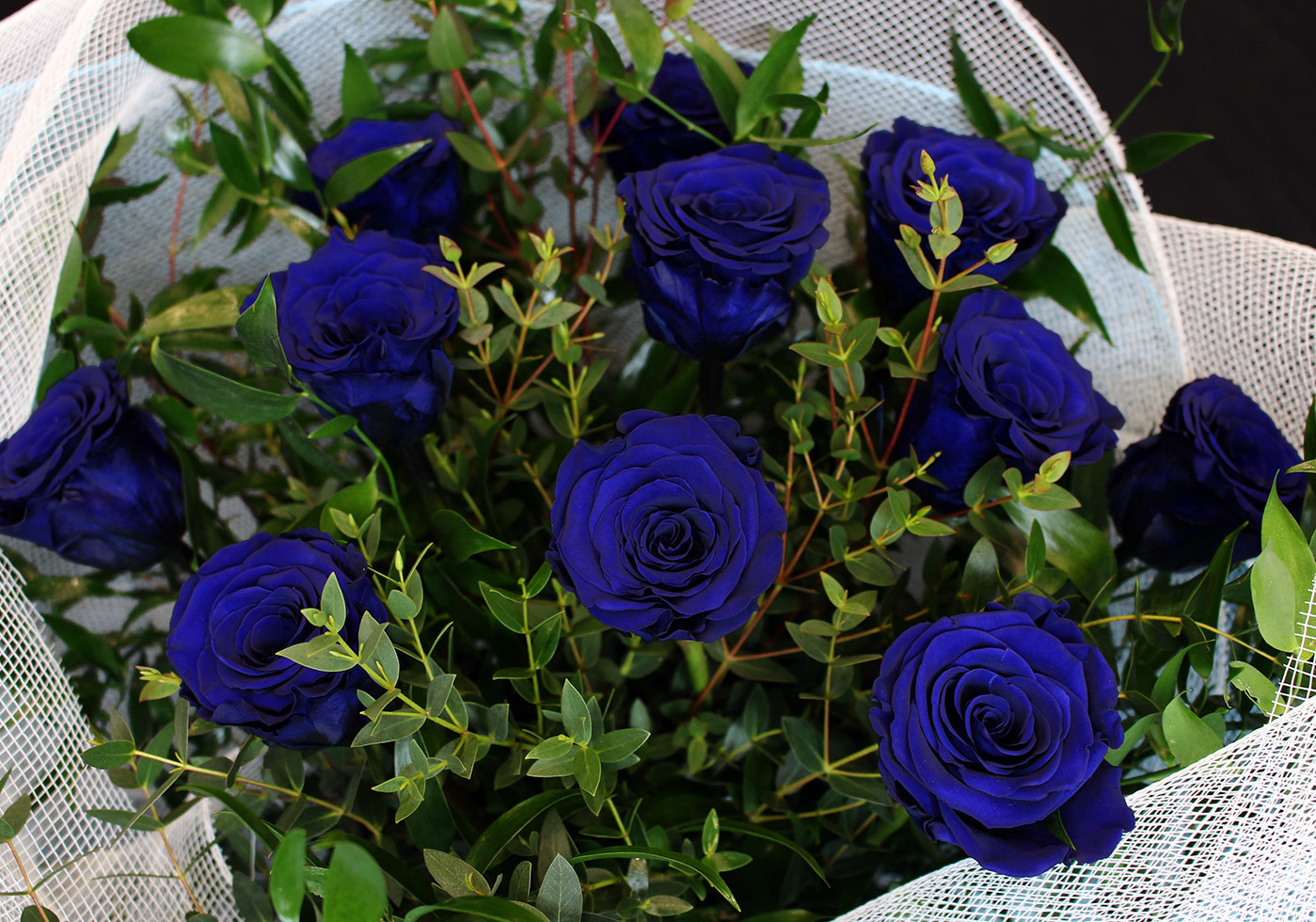 Une autre vue du bouquet de roses bleues