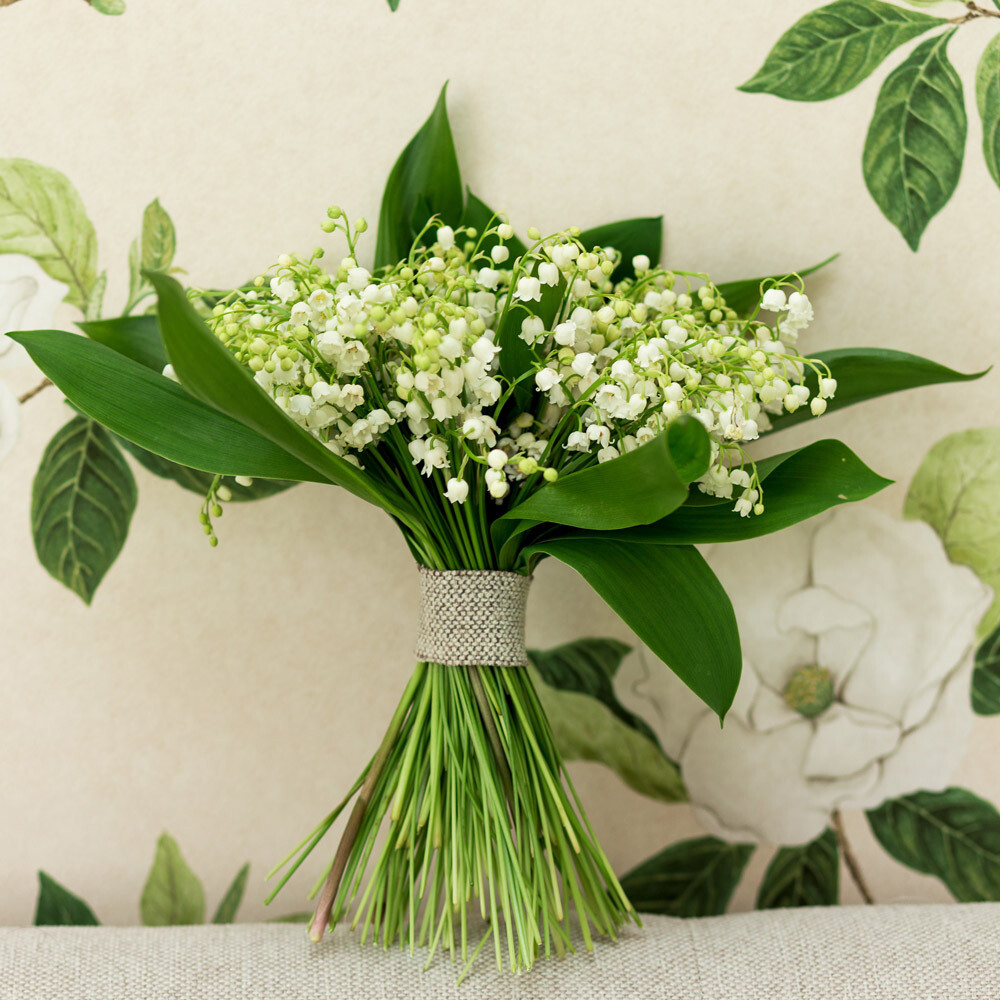Lily of the valley