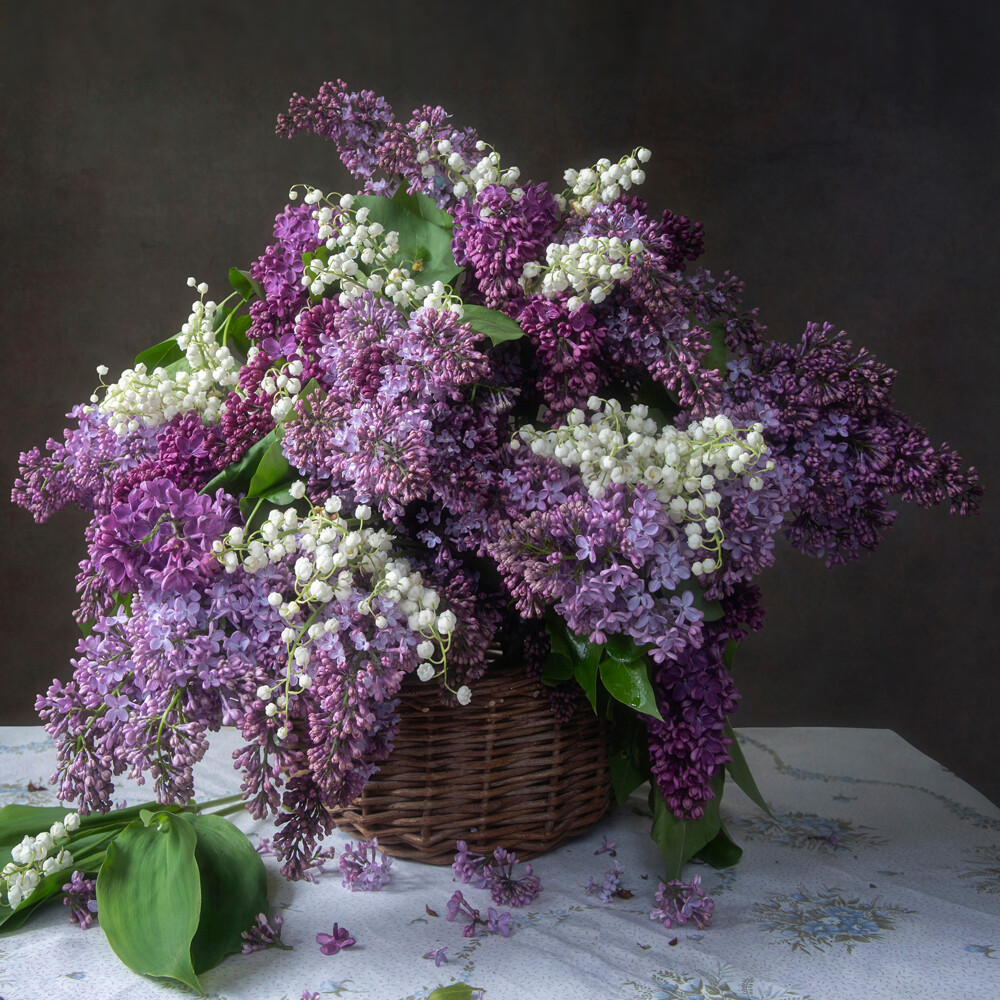 Muguet et lilas