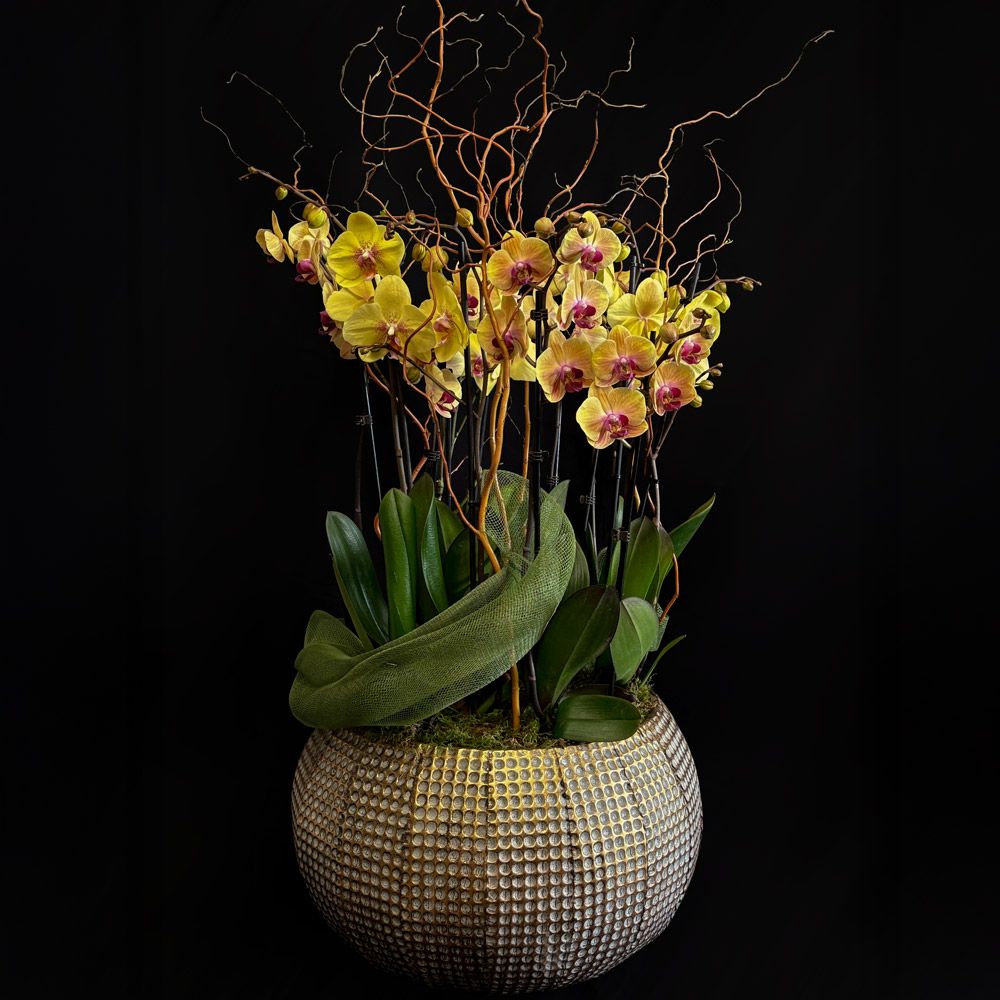 Composition d’orchidées jaunes dans un cache-pot doré texturé, réalisée par un fleuriste haut de gamme à Paris