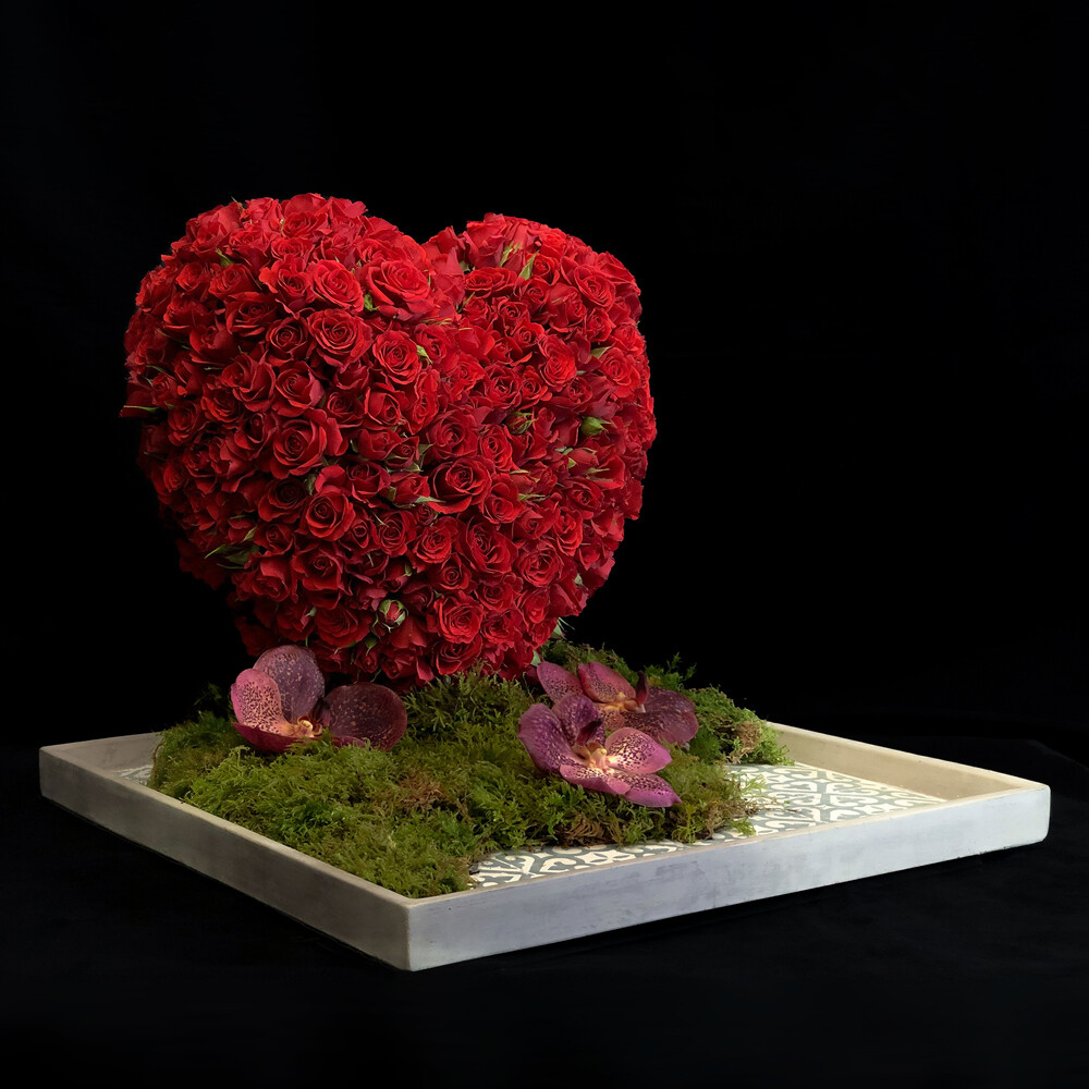 Amour de Toujours