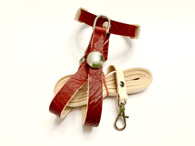 SIZE 7L  LEATHERS4FEATHERS Harness Avian Leash Cockatoo 500-600g Ara Severa Severe Macaw Umbrella Cockatoo
