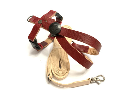 SIZE 5 LEATHERS4FEATHERS Harness Avian Leash Alexandrine / Mitred Conure / Cherry Headed Conure / Jardine / Patagonian Conure / Maximillian Pionus / Turaco SIZE 5 LEATHERS4FEATHERS Harness Avian Leash Alexandrine / Mitred Conure / Cherry Headed Conure / Jardine / Patagonian Conure / Maximillian Pionus / Turaco