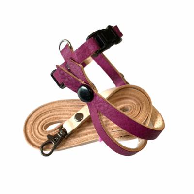 SIZE 1  Lovebird / Parakeet / Bourke / Linneolated Parakeet LEATHERS4FEATHERS Harness Avian Leash