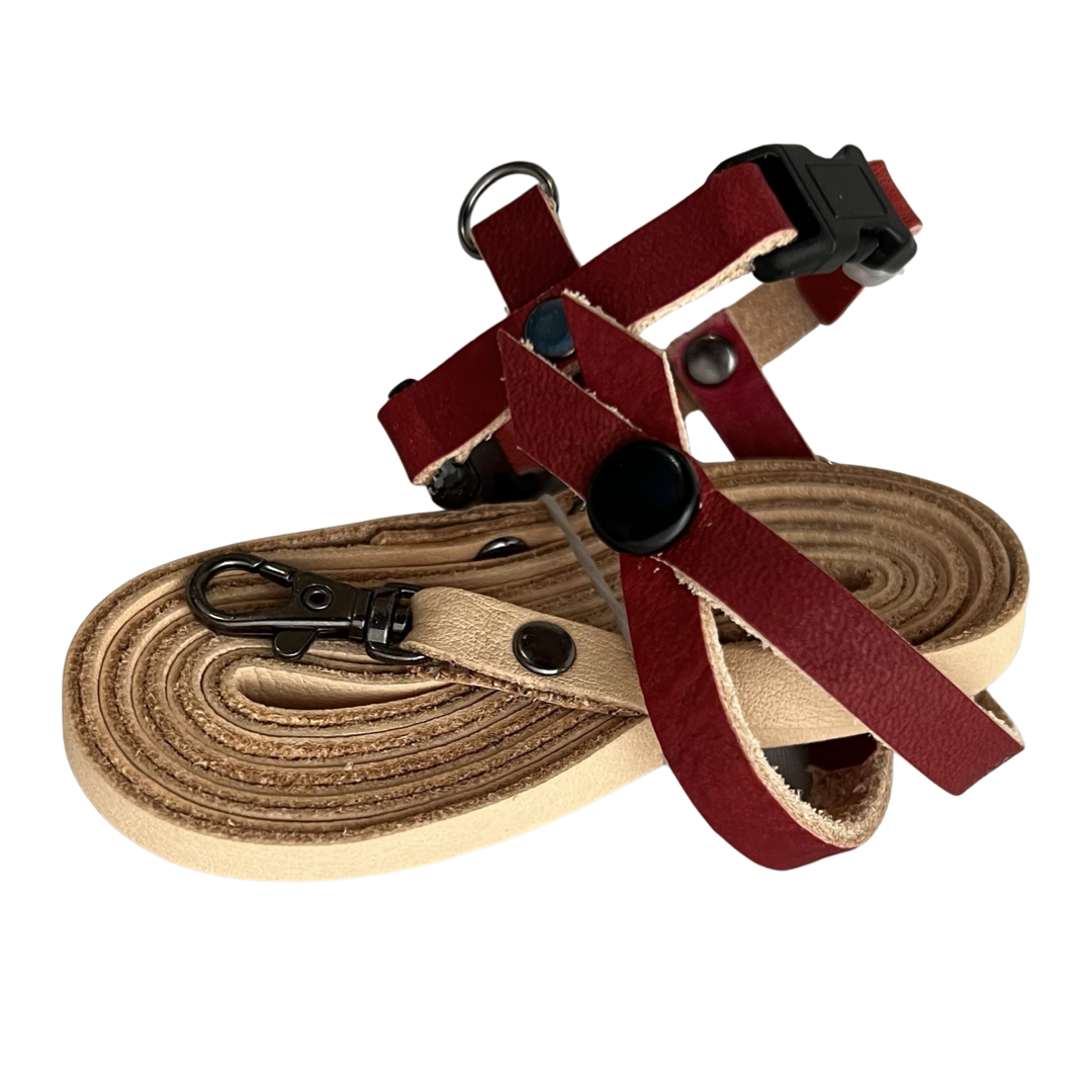 SIZE 1  Lovebird / Parakeet / Bourke / Linneolated Parakeet LEATHERS4FEATHERS Harness Avian Leash