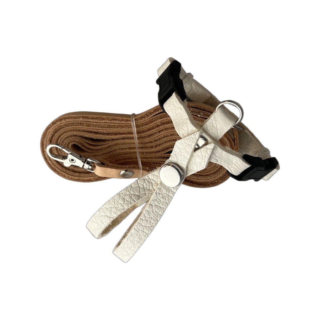 SIZE 1  Lovebird / Parakeet / Bourke / Linneolated Parakeet LEATHERS4FEATHERS Harness Avian Leash