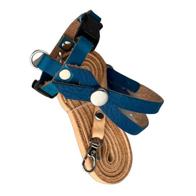 SIZE 1  Lovebird / Parakeet / Bourke / Linneolated Parakeet LEATHERS4FEATHERS Harness Avian Leash