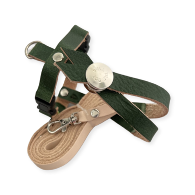SIZE 4 LEATHERS4FEATHERS Harness Avian Leash White Bellied Caique / Hahns / Blue Crown Conure / Rainbow Lory / Senegal / Nanday