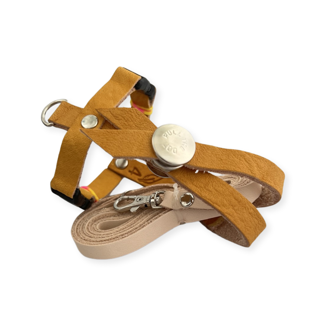 SIZE 4 LEATHERS4FEATHERS Harness Avian Leash White Bellied Caique / Hahns / Blue Crown Conure / Rainbow Lory / Senegal / Nanday
