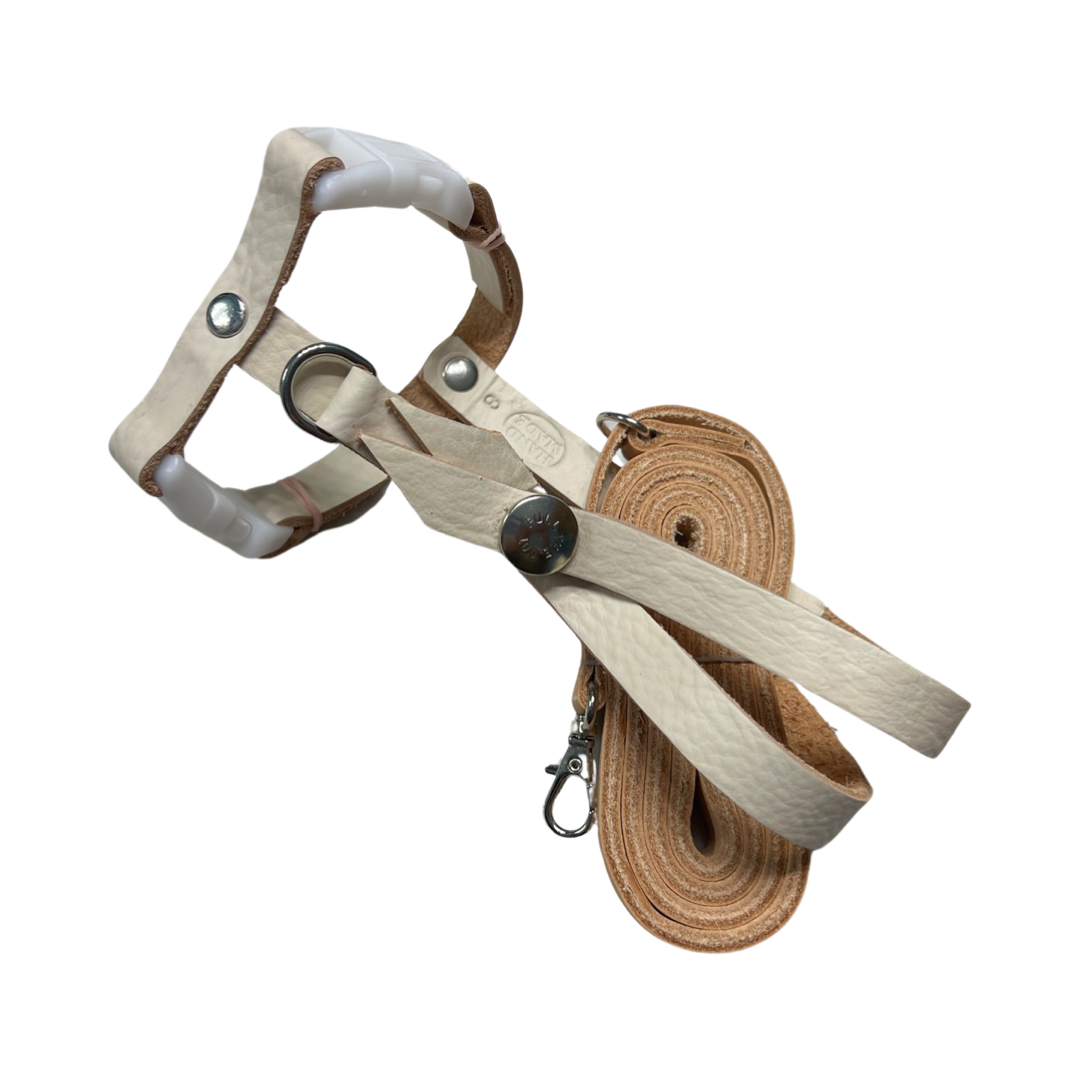 SIZE 8  LEATHERS4FEATHERS Harness Avian Leash Umbrella / Macaw 600-850g