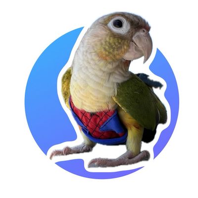 Flyper Bird Diaper Size 2