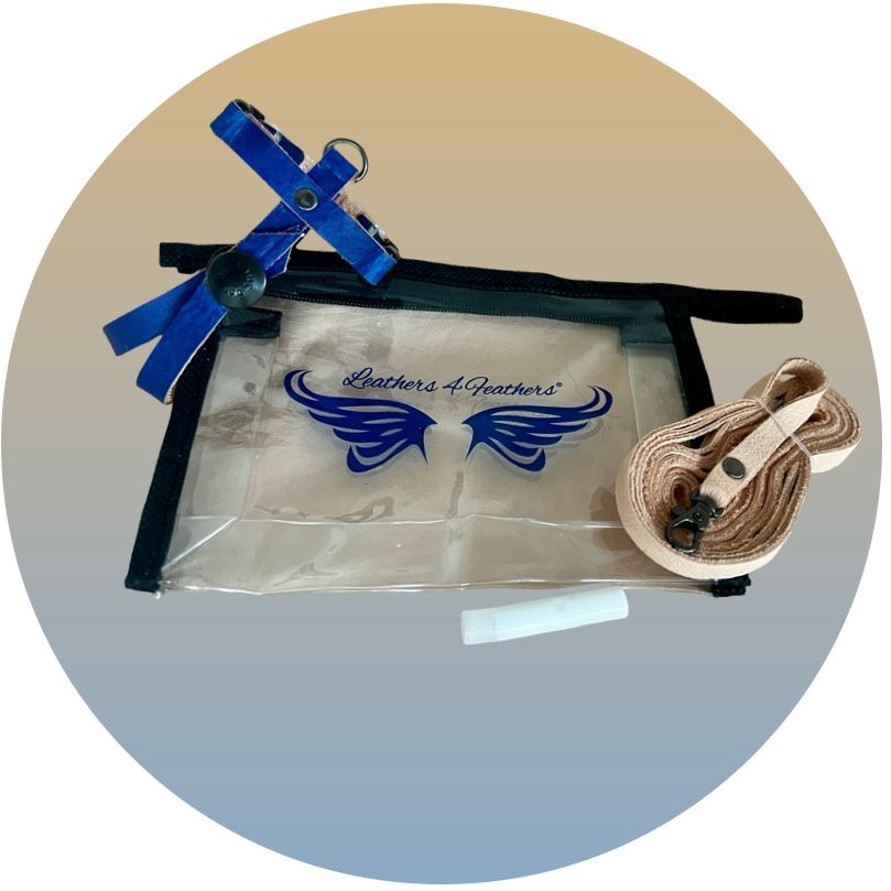 Blue/Purple leather harness, black metal hardware, clear zipper pouch with LOGO, dark trim; beige leash, loop handle, clip.