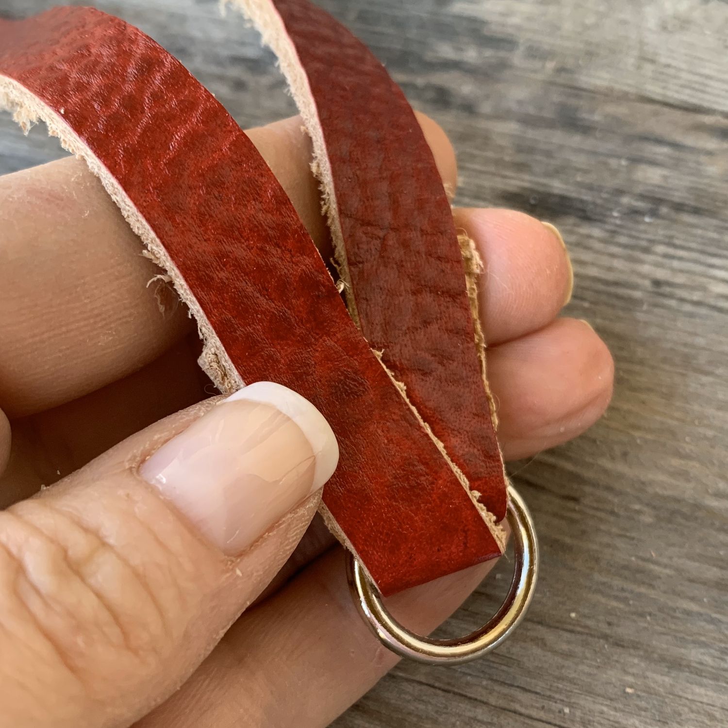 SIZE 9- 900g-1050   LEATHERS4FEATHERS Harness Avian Leash Blue &amp; Gold / Moluccan / Catalina Macaw / Sulfur Crested